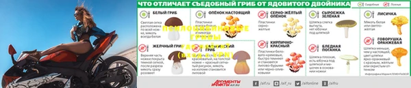 спайс Дмитров