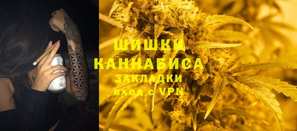 шишки Заволжье
