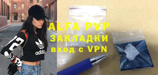 стафф Ельня