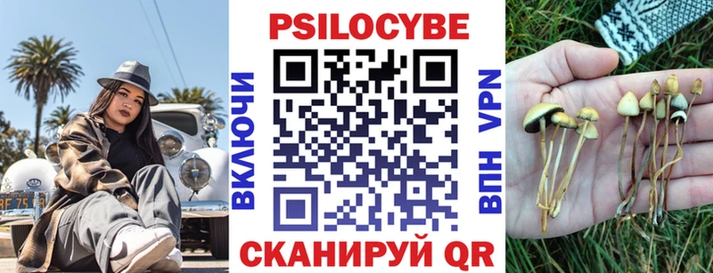 Галлюциногенные грибы Psilocybe  Купить  Прохладный 